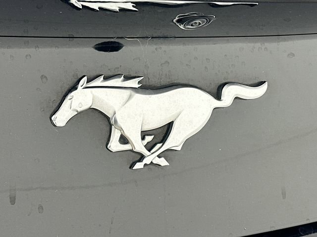 Certified 2024 Ford Mustang Premium image 25
