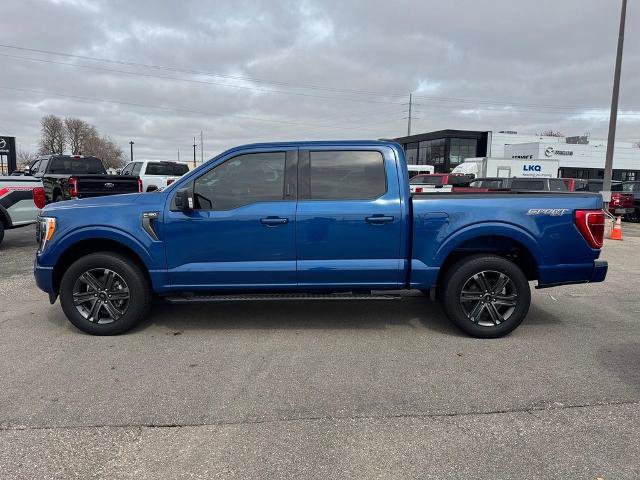 Certified 2023 Ford F150 XLT w/ Equipment Group 302A High AWD/4WD image 3