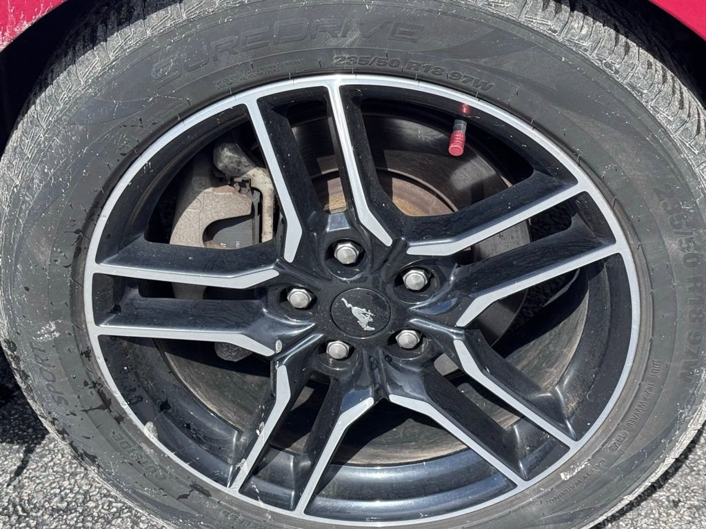 Certified 2021 Ford Mustang EcoBoost w/ Equipment Group 101A image 24