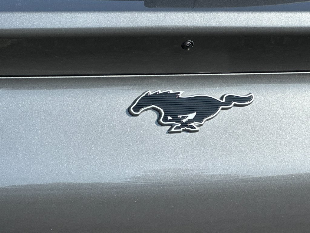 Certified 2023 Ford Mustang Mach-E Premium RWD image 25