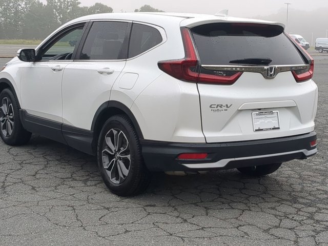 Used 2020 Honda CR-V EX-L image 6