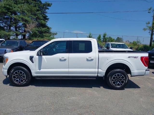 Certified 2023 Ford F150 XLT w/ Equipment Group 302A High AWD/4WD image 5