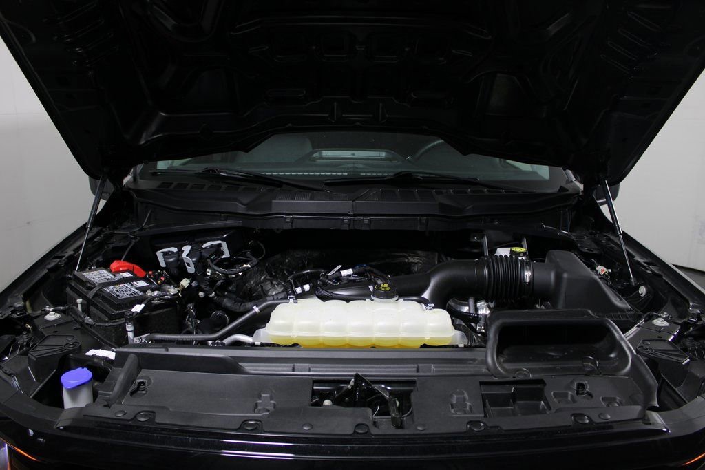 Certified 2025 Ford F150 XLT w/ Equipment Group 301A Standard image 7