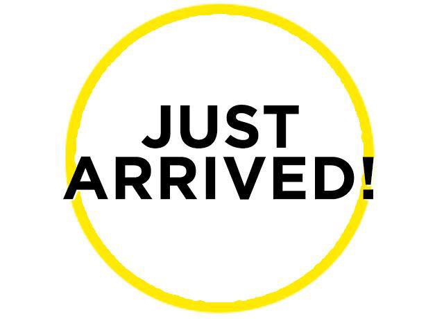 Used 2024 Chrysler Pacifica Touring-L image 17