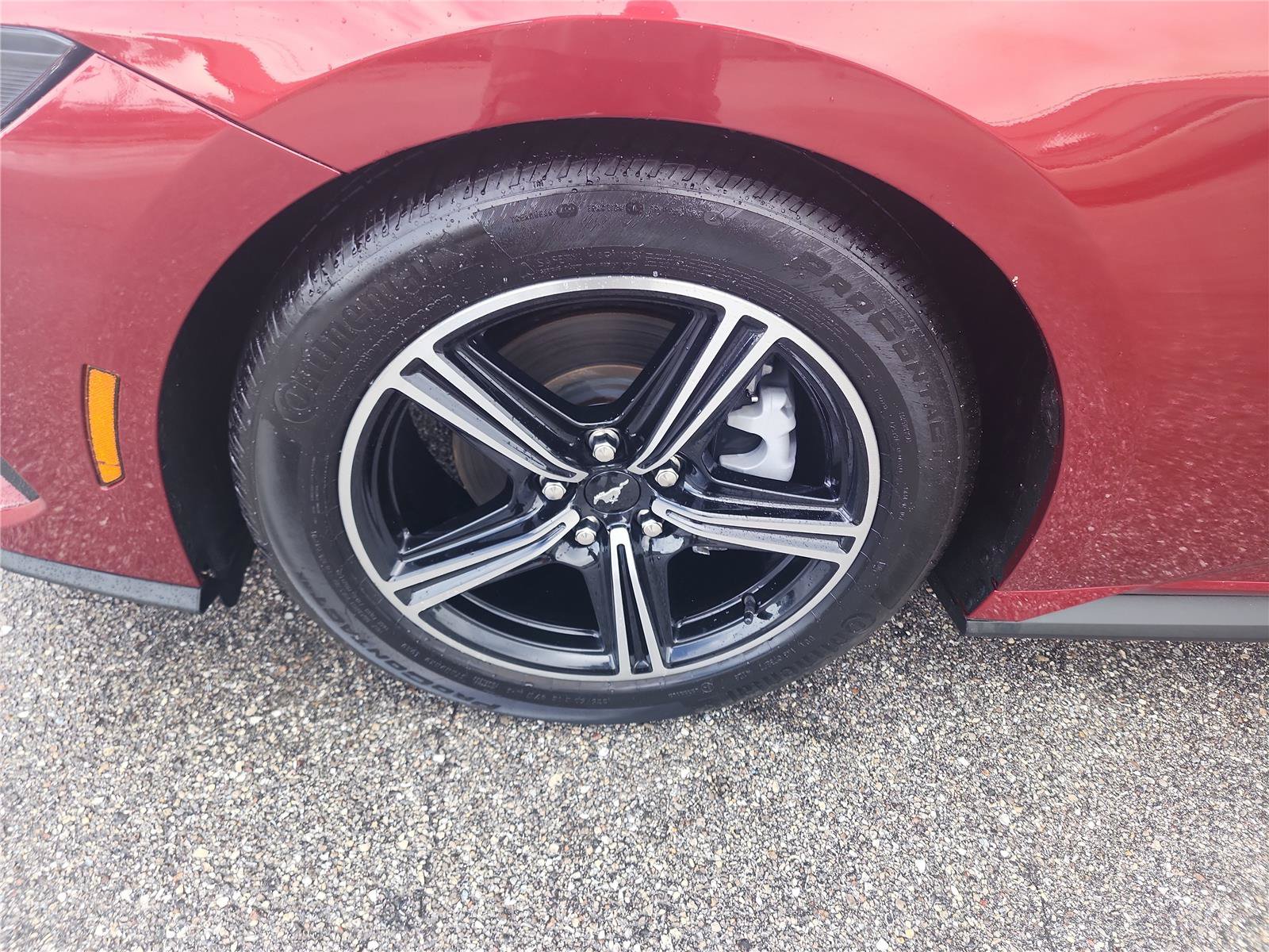 Certified 2024 Ford Mustang Premium RWD image 9