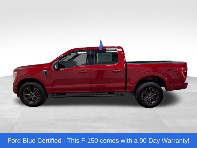 Certified 2022 Ford F150 XLT w/ Equipment Group 302A High