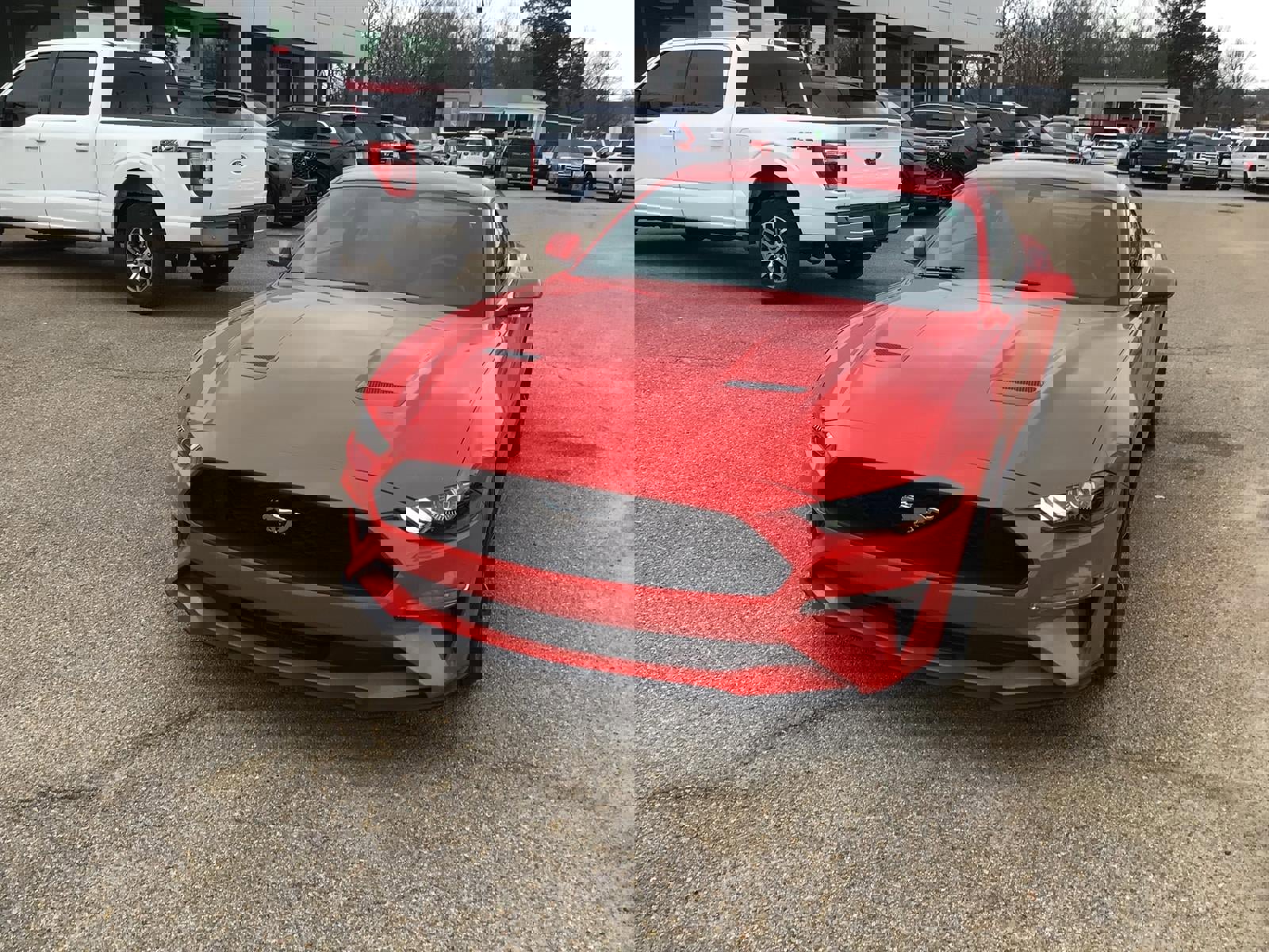 Certified 2018 Ford Mustang EcoBoost image 5