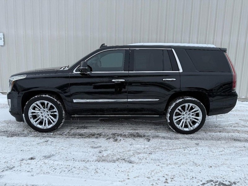 Used 2017 Cadillac Escalade Premium Luxury w/ LPO, Radiant Package image 2