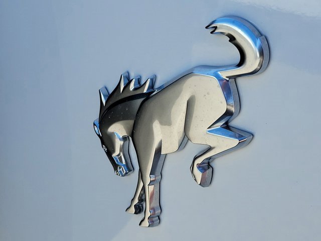 Certified 2025 Ford Bronco Big Bend image 11