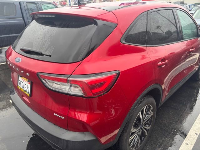 Certified 2022 Ford Escape SE w/ SE Sport Appearance Package image 3
