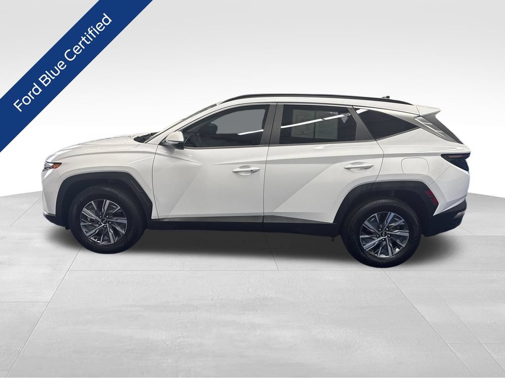 Used 2022 Hyundai Tucson Blue AWD/4WD image 2