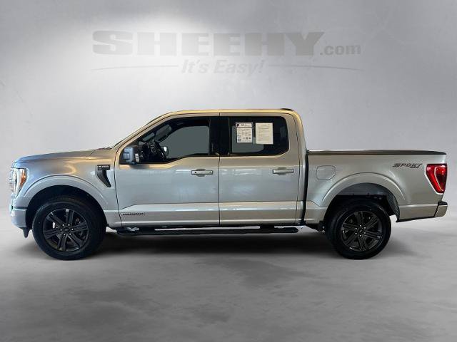Certified 2023 Ford F150 XLT w/ Equipment Group 302A High AWD/4WD image 15
