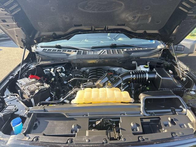 Certified 2025 Ford F150 XLT w/ Equipment Group 301A Standard AWD/4WD image 24