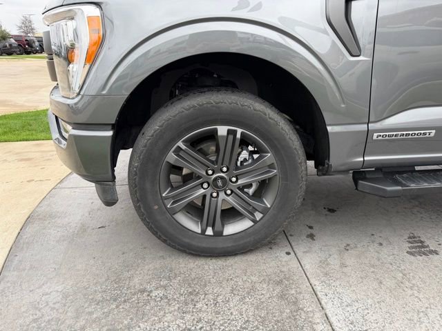 Certified 2023 Ford F150 Lariat image 4