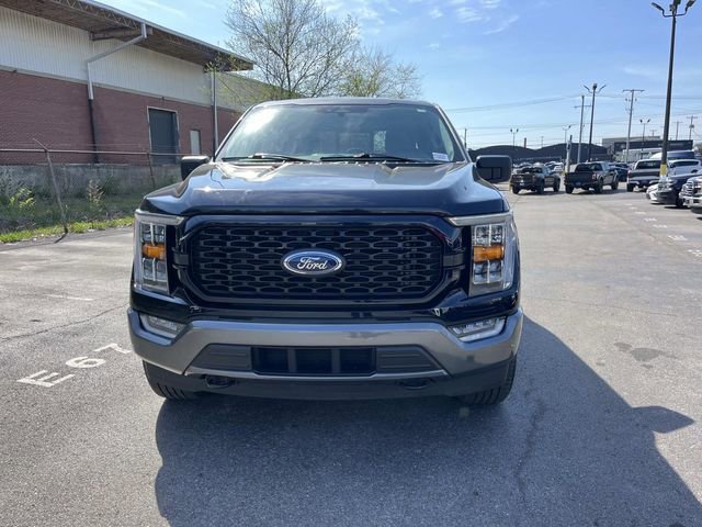 Certified 2023 Ford F150 XLT w/ Equipment Group 302A High image 8