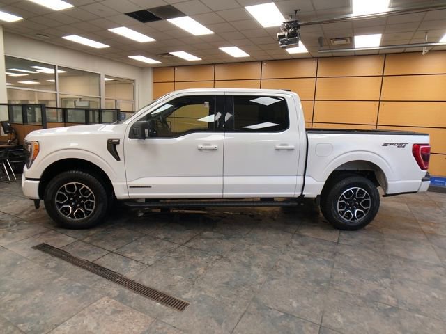 Certified 2023 Ford F150 XLT w/ Equipment Group 302A High image 2