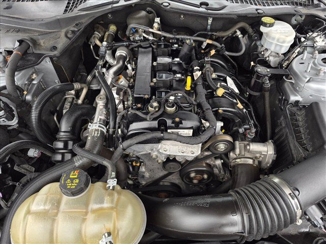 Certified 2023 Ford Mustang Coupe w/ Equipment Group 101A RWD image 20