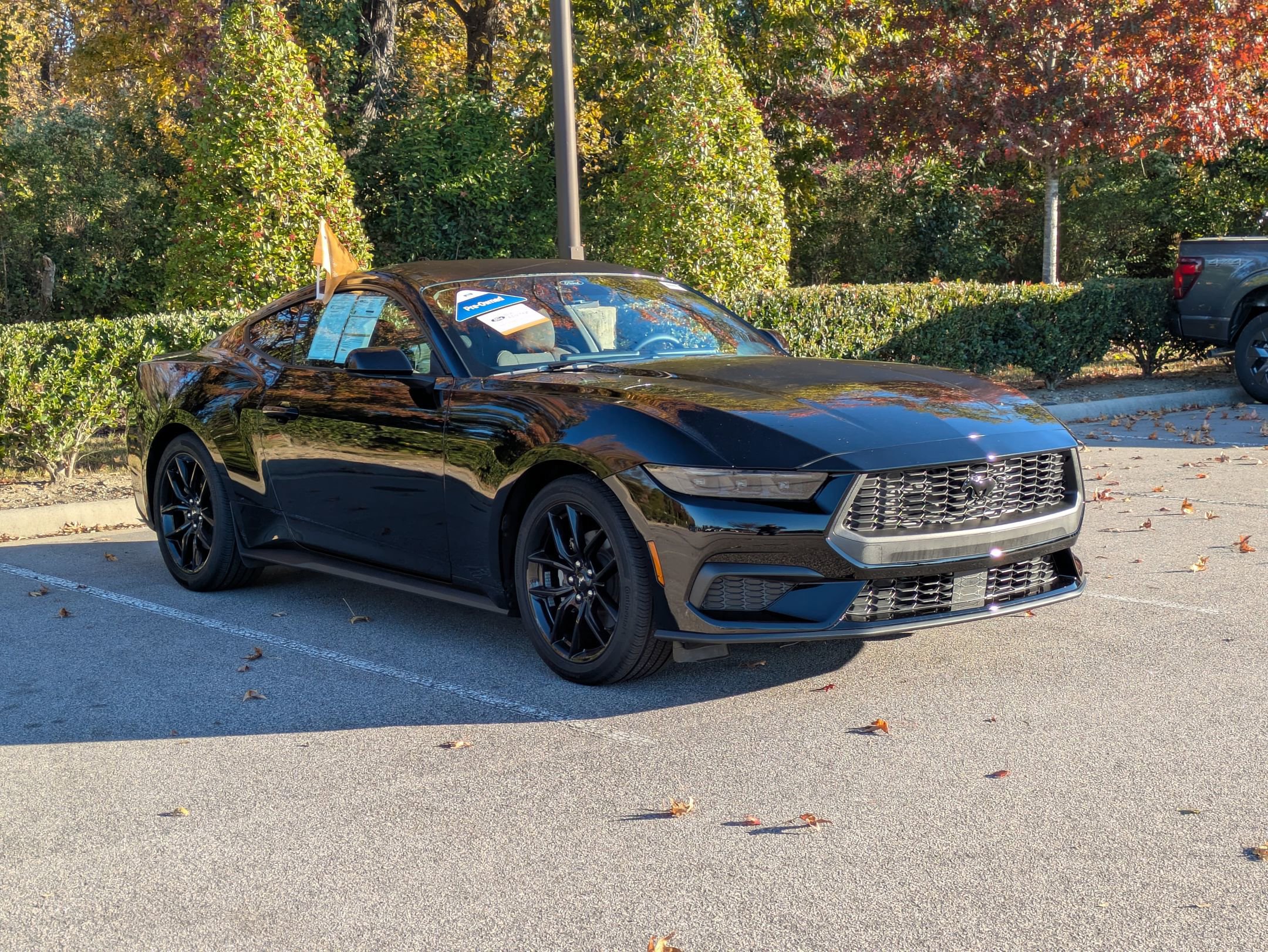 Certified 2025 Ford Mustang Coupe w/ Mustang Nite Pony Package image 8