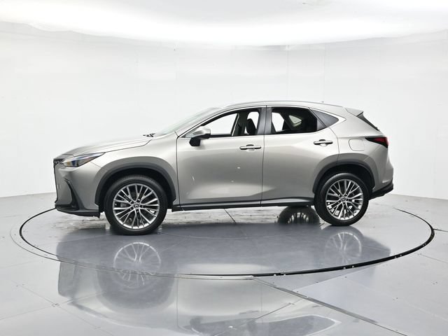 Used 2023 Lexus NX 350 AWD image 6