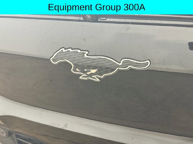 Certified 2025 Ford Mustang Mach-E Premium AWD/4WD image 35