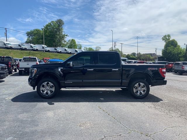 Certified 2021 Ford F150 Platinum w/ Equipment Group 701A High AWD/4WD image 5