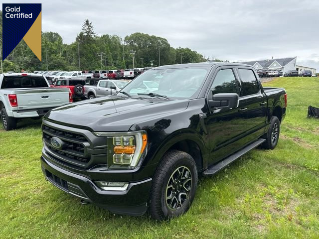 Certified 2023 Ford F150 XLT w/ Equipment Group 302A High