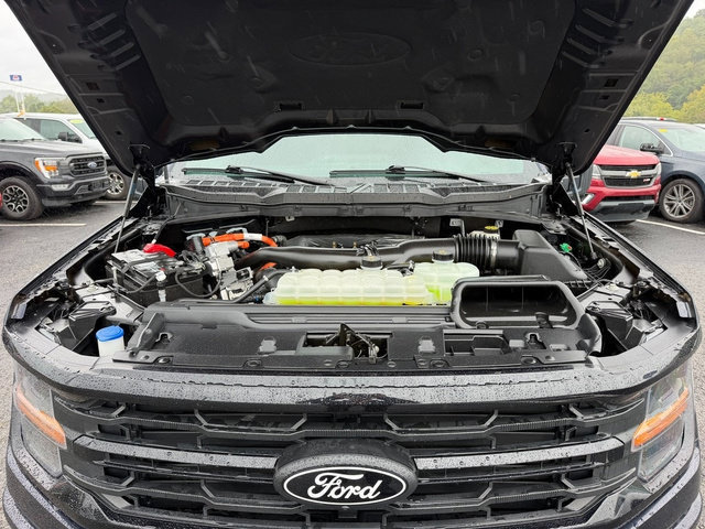 Certified 2024 Ford F150 XLT w/ Equipment Group 302A MID AWD/4WD image 17