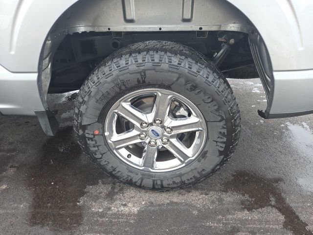 Certified 2025 Ford F150 XLT w/ Equipment Group 301A Standard image 14