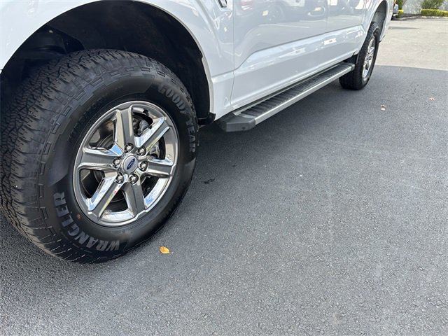 Certified 2025 Ford F150 XLT w/ Equipment Group 301A Standard image 13