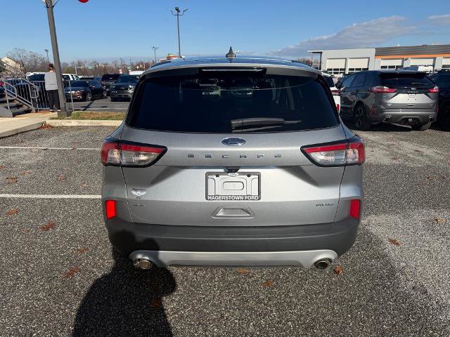 Certified 2022 Ford Escape SE w/ Convenience Package image 7