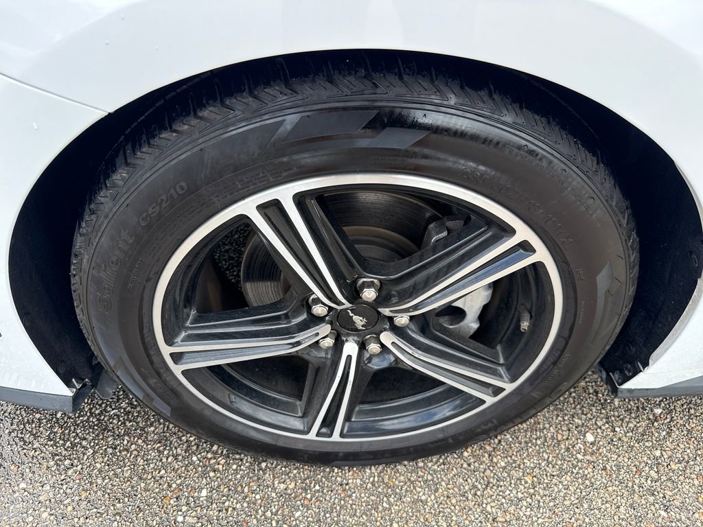 Certified 2024 Ford Mustang Premium image 13