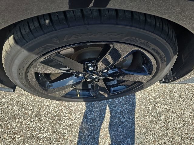 Certified 2022 Ford Mustang Coupe w/ Black Accent Package RWD image 7