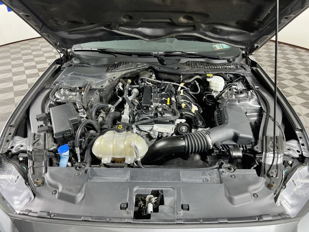 Certified 2022 Ford Mustang Coupe w/ Equipment Group 101A RWD image 32