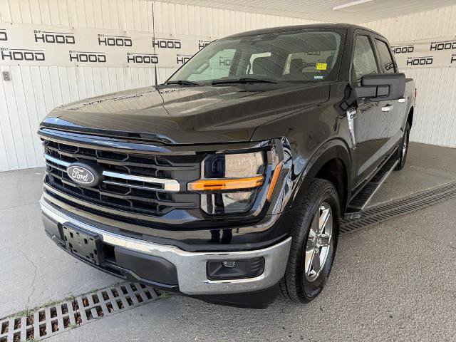 Certified 2025 Ford F150 XLT w/ Equipment Group 301A Standard RWD image 24