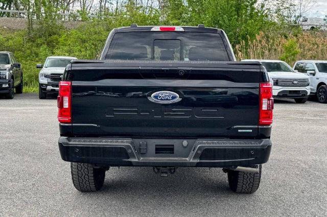 Certified 2023 Ford F150 XLT w/ Equipment Group 302A High AWD/4WD image 4