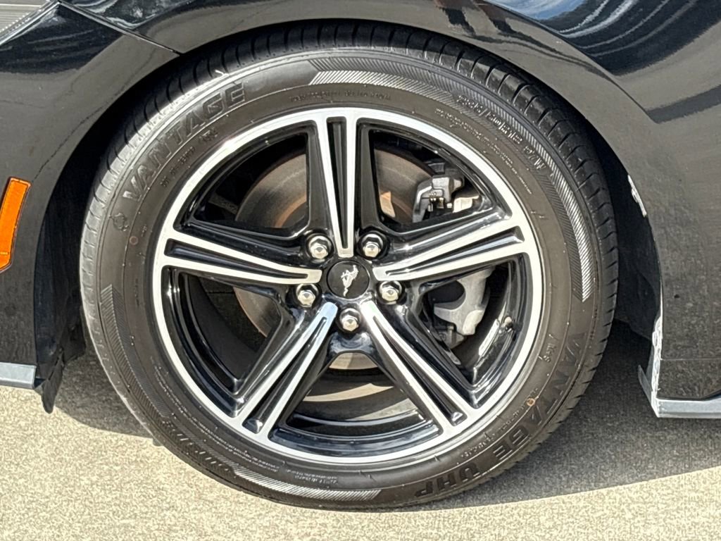 Certified 2024 Ford Mustang Premium image 11