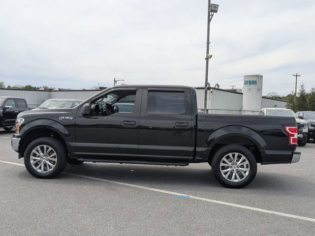 Certified 2019 Ford F150 XL w/ Equipment Group 101A Mid image 2