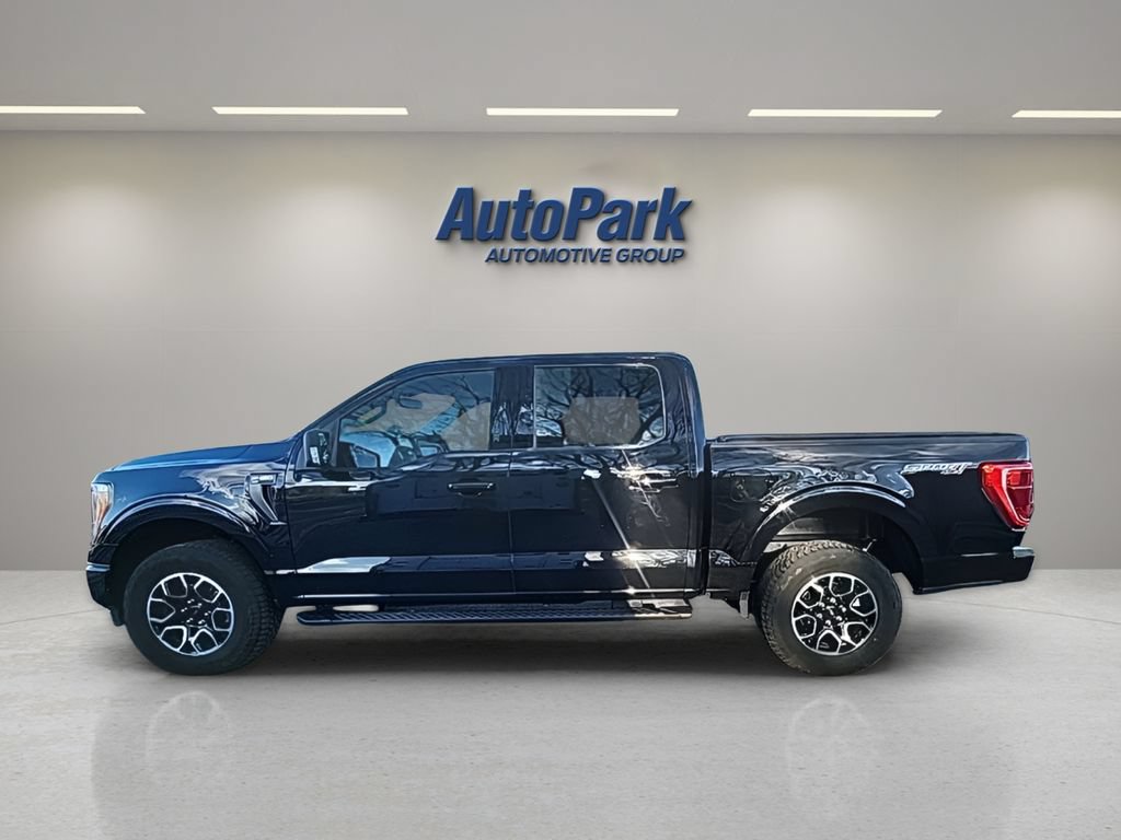 Certified 2023 Ford F150 XLT w/ Equipment Group 302A High AWD/4WD image 6