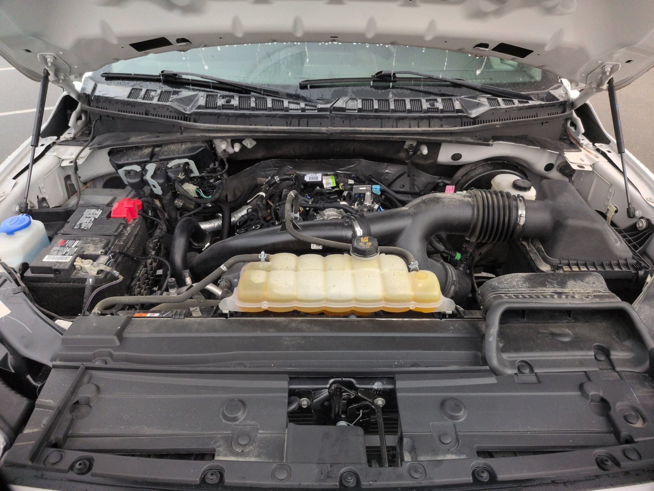 Certified 2020 Ford F150 XL w/ Equipment Group 101A Mid RWD image 37