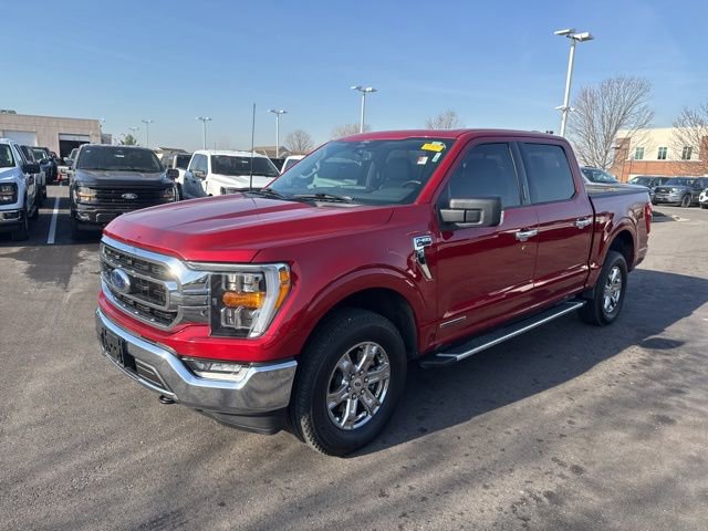 Certified 2022 Ford F150 XLT w/ Equipment Group 302A High image 3