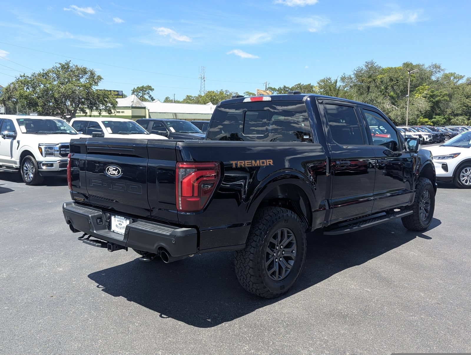 Certified 2025 Ford F150 Tremor w/ Equipment Group 402A High AWD/4WD image 5