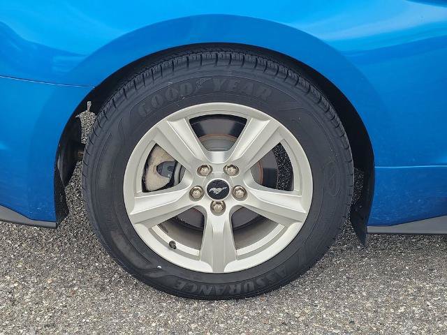 Certified 2019 Ford Mustang Coupe RWD image 10