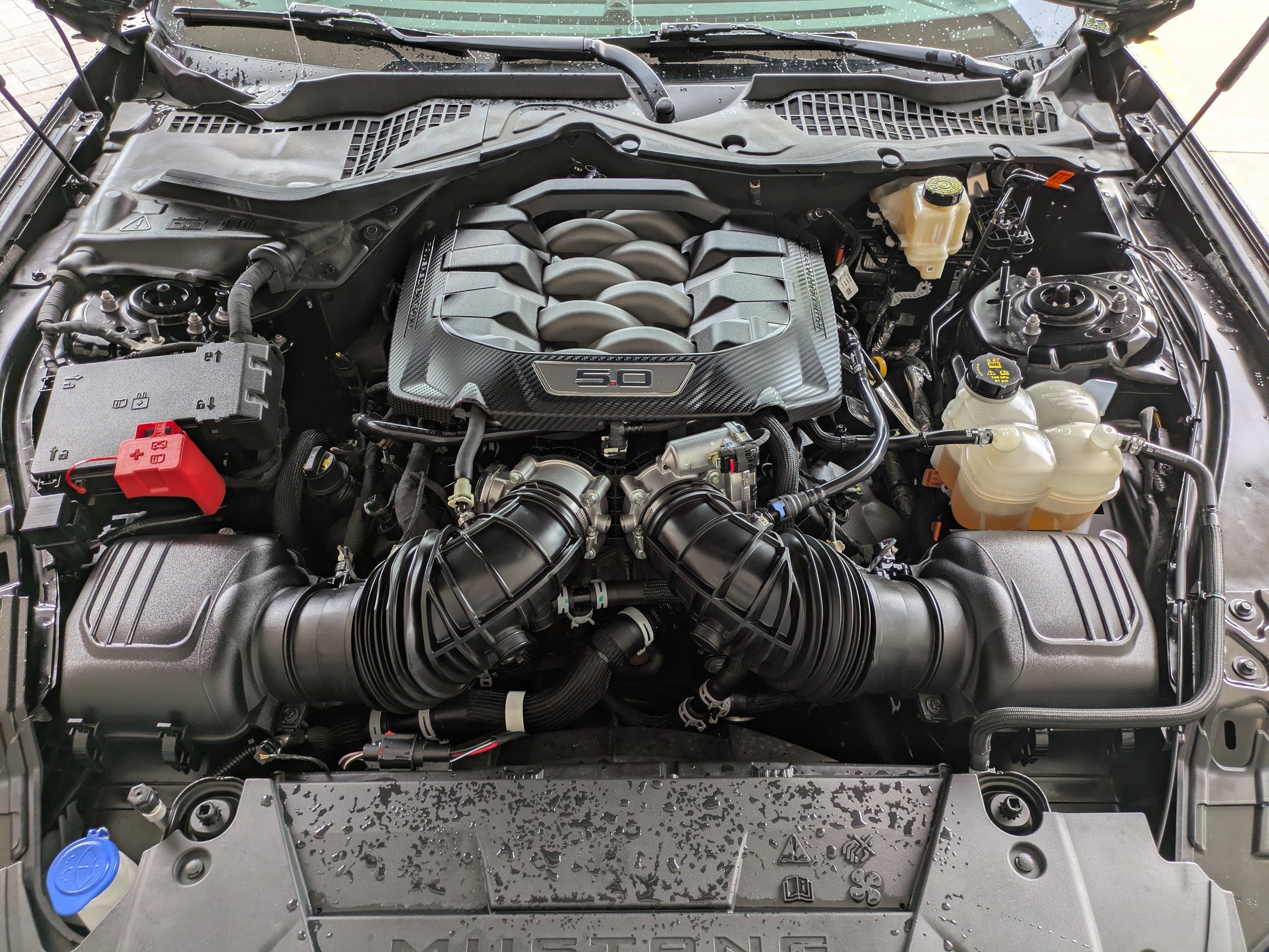 Certified 2024 Ford Mustang GT RWD image 13