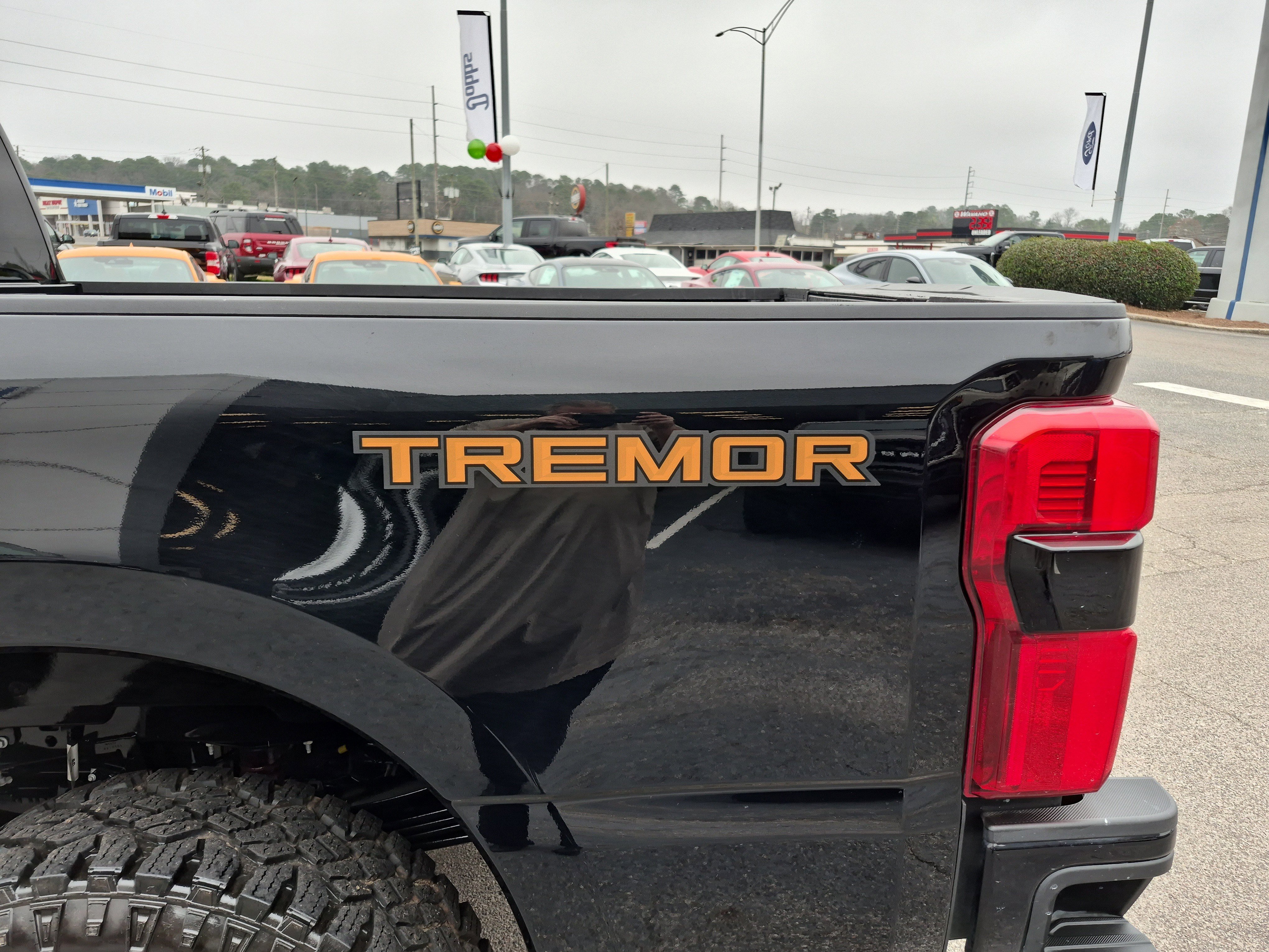 Certified 2024 Ford F250 Platinum w/ Tremor Off-Road Package image 11