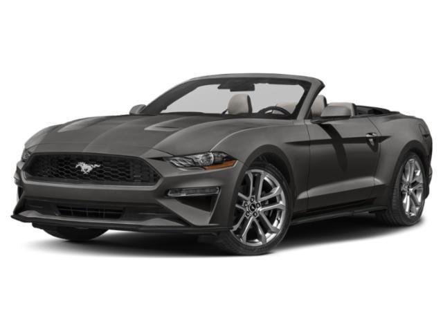 Certified 2022 Ford Mustang EcoBoost Convertible w/ Equipment Group 101A image 5