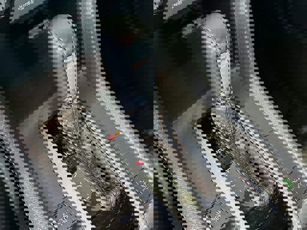 Used 2021 Honda Civic EX image 17