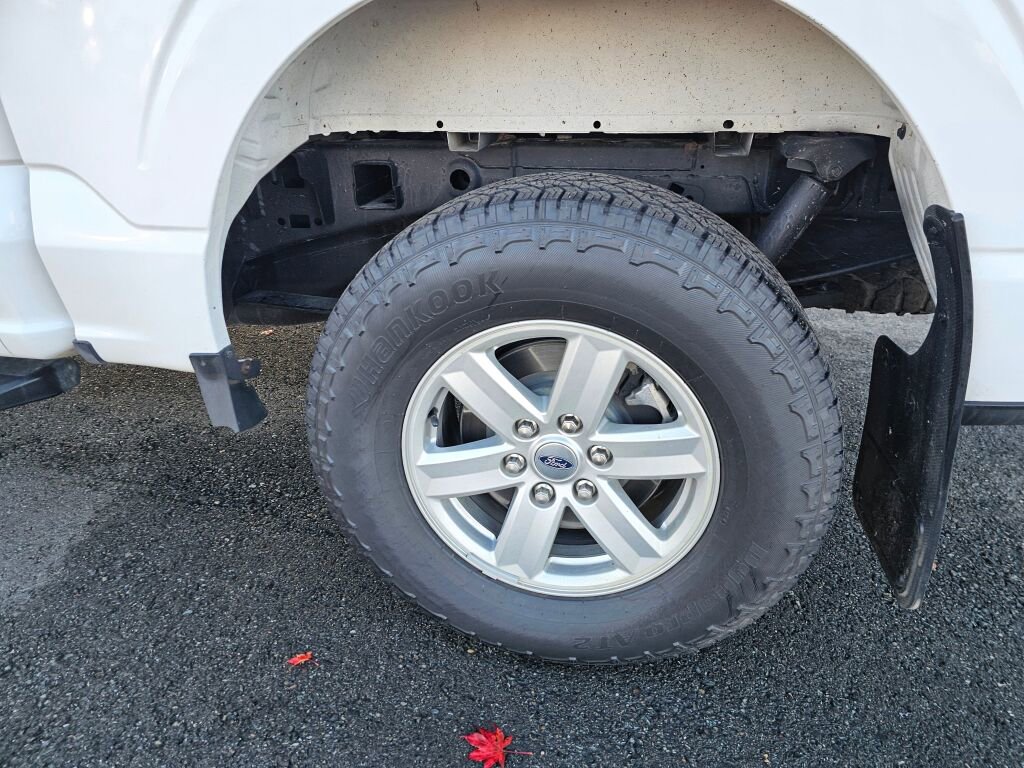 Certified 2023 Ford F150 XLT w/ Equipment Group 301A Mid image 11