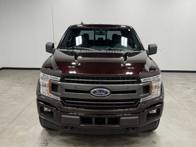 Certified 2019 Ford F150 XLT w/ Equipment Group 302A Luxury image 4