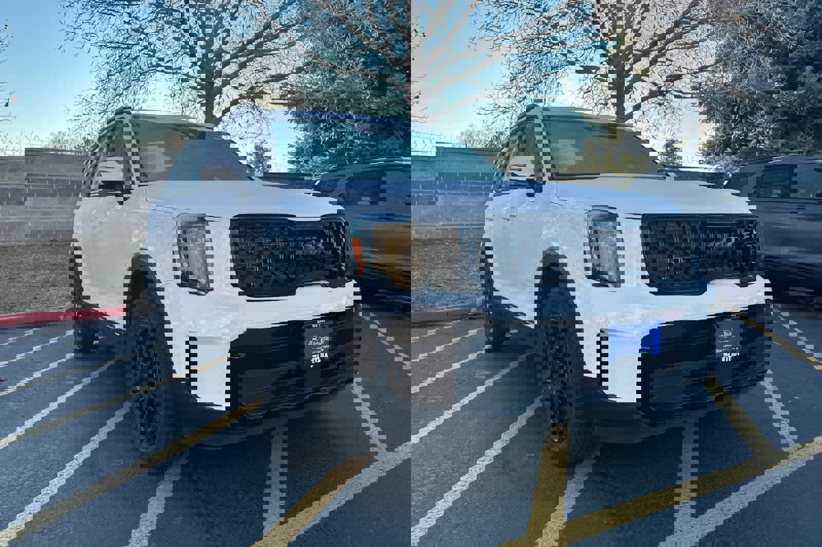 Used 2025 Kia Telluride EX X-Line image 5