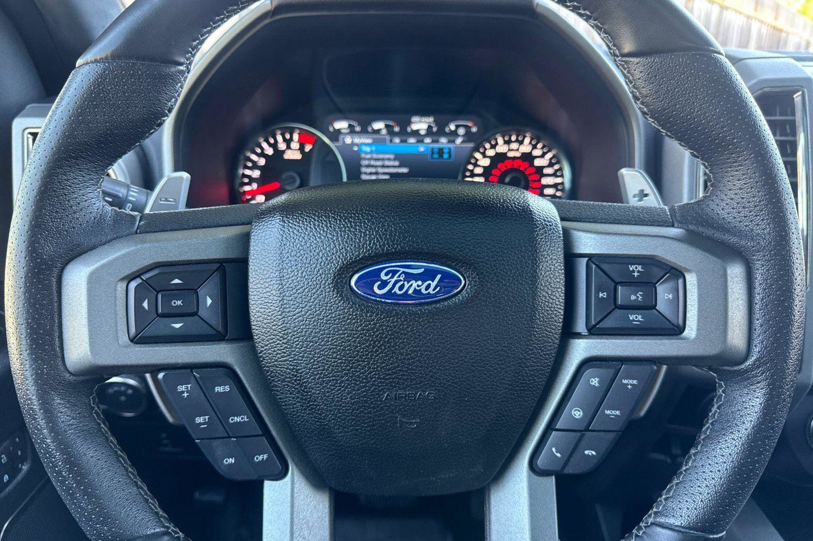 Certified 2017 Ford F150 Raptor w/ Equipment Group 802A Luxury image 20